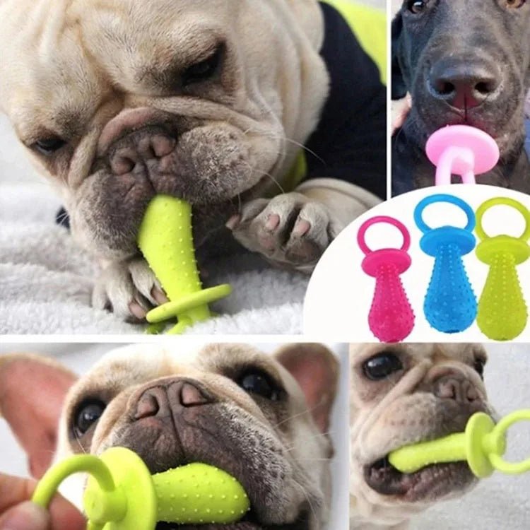 Rubber Pacifier Ring Shape Chew Toy