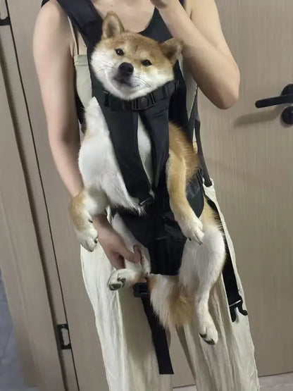 Chest Pet Bag Wrapping Large Dog Backpack