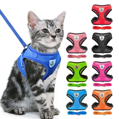 Adjustable Mesh Harness Vest and Leash Set