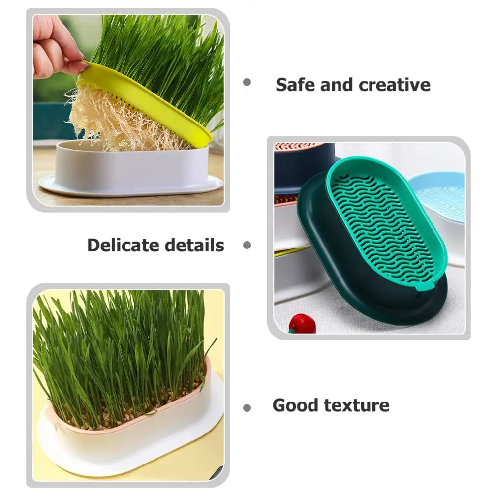 Hydroponic Cat Grass Growing Dish Starter Box