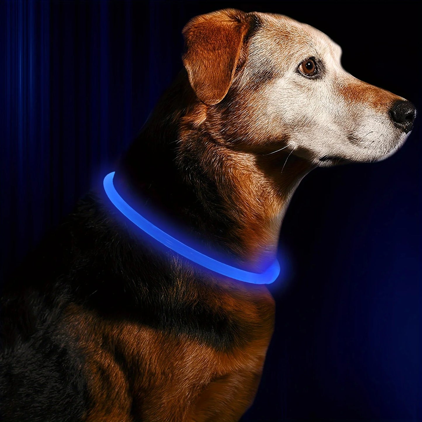 Luminous LED Light Anti-Lost Dog Collar