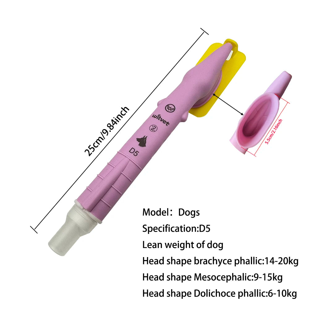 Canine Tracheal Intubation of Anesthesia Gas