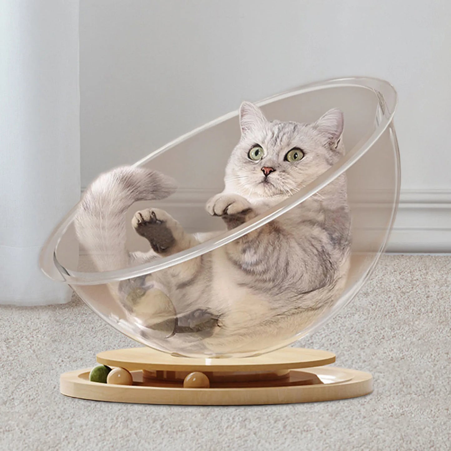 Space Capsule shaped Cat & Kitten Nest