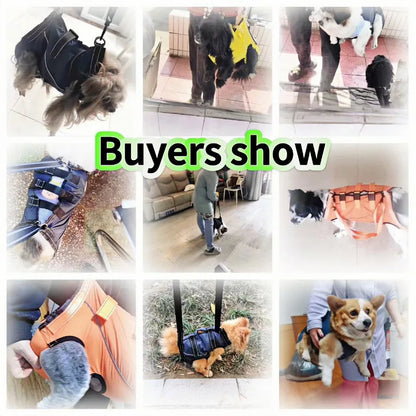 Rehabilitation Sling Carrier with Padded Straps | Breathable Hip Support for Hind Legs