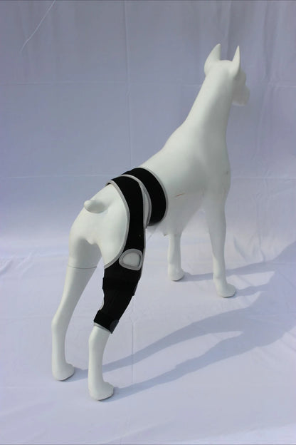 Dog Leg Support Brace (Knee Hip Joint)