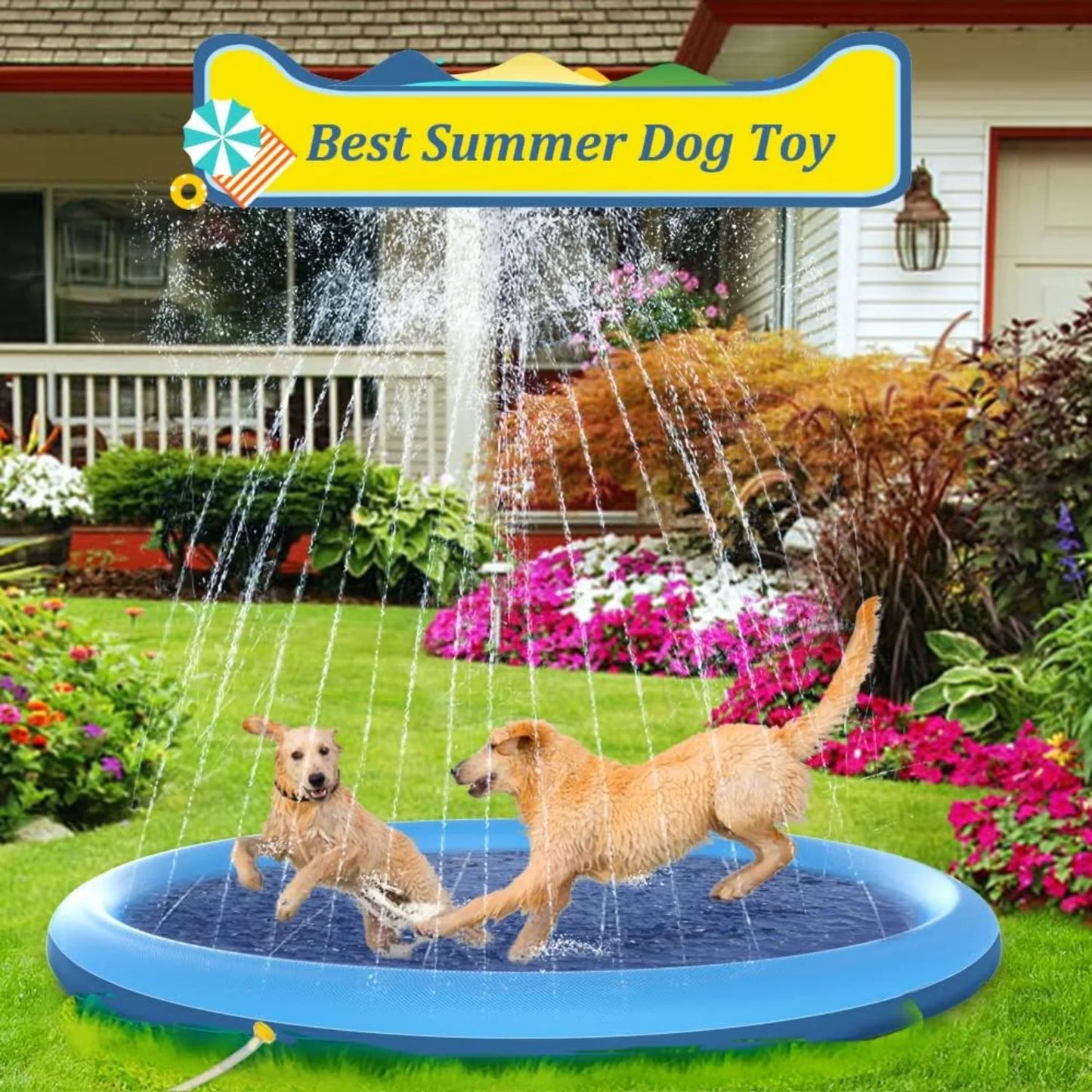 Inflatable Summer Pet Swimming Pool and Fountain