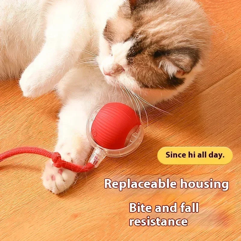 Interactive Motion Activated Plush Cat Toy Ball