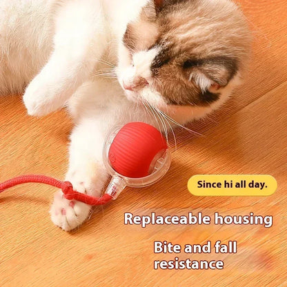 Interactive Motion Activated Plush Cat Toy Ball