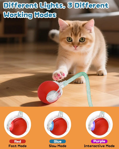 Interactive Smart Rolling Ball Toy for Cats