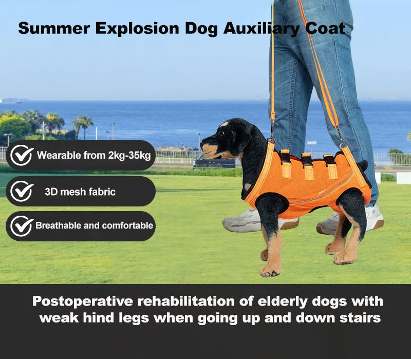 Rehabilitation Sling Carrier with Padded Straps | Breathable Hip Support for Hind Legs