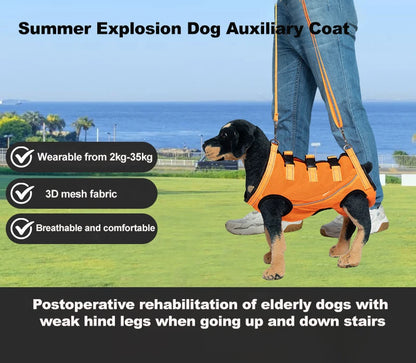 Rehabilitation Sling Carrier with Padded Straps | Breathable Hip Support for Hind Legs