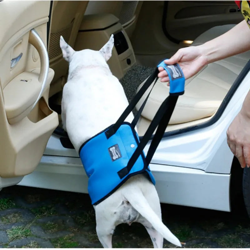 Portable Dog Sling Harness for Rear Support