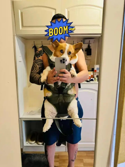 Chest Pet Bag Wrapping Large Dog Backpack