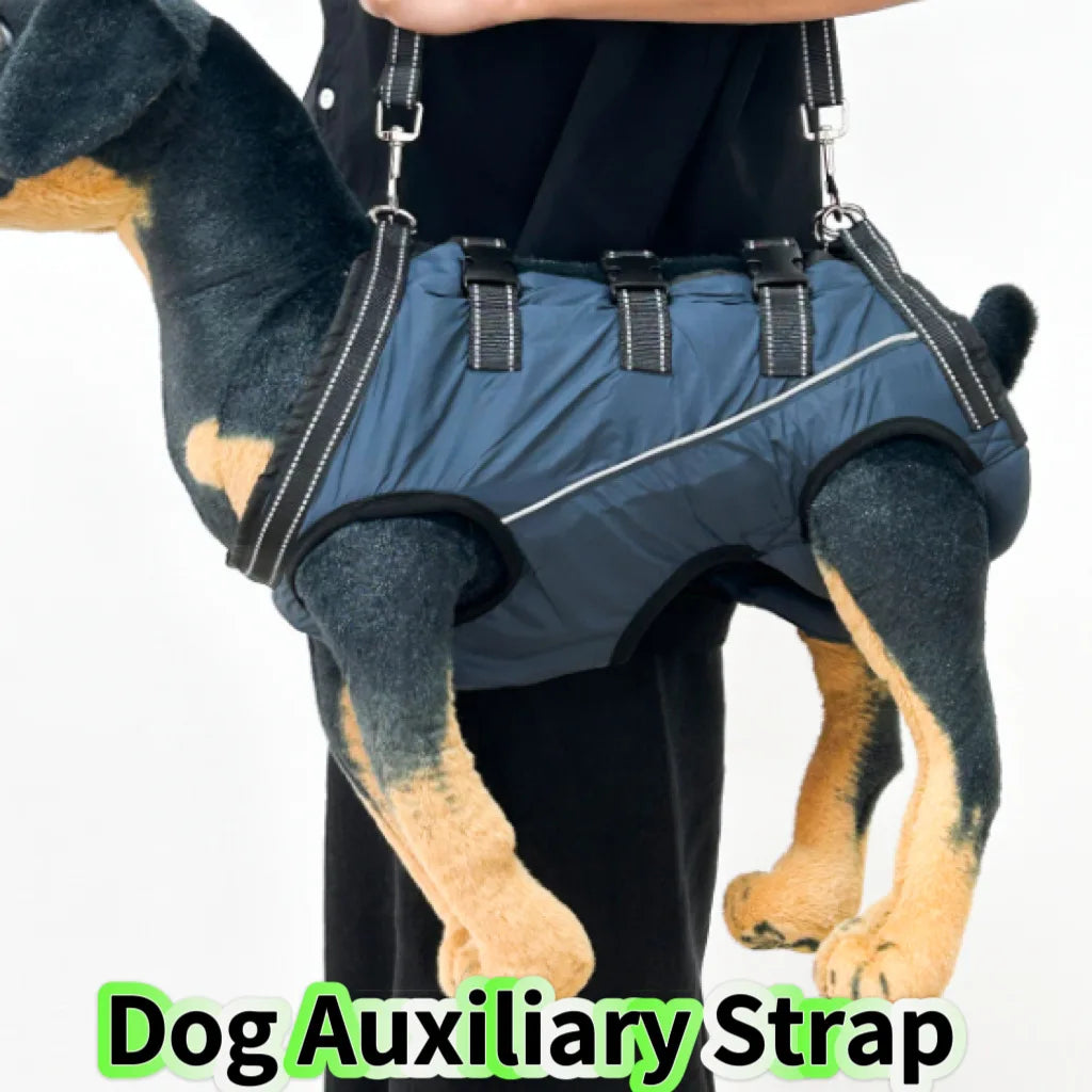Rehabilitation Sling Carrier with Padded Straps | Breathable Hip Support for Hind Legs