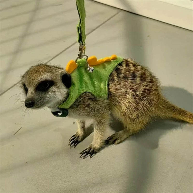 Comfortable Flannel Pet Leash and Harness Set