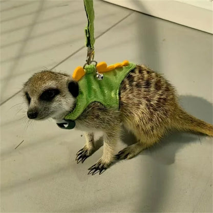 Comfortable Flannel Pet Leash and Harness Set