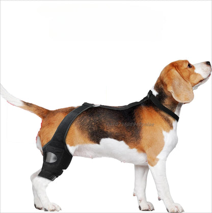 Dog Leg Support Brace (Knee Hip Joint)