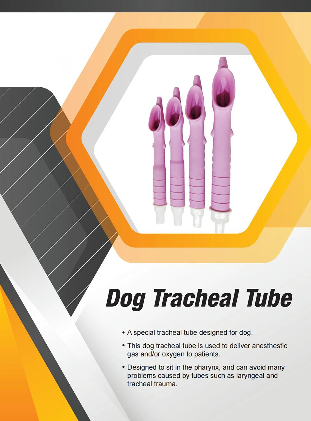 Canine Tracheal Intubation of Anesthesia Gas