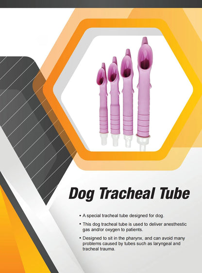 Canine Tracheal Intubation of Anesthesia Gas