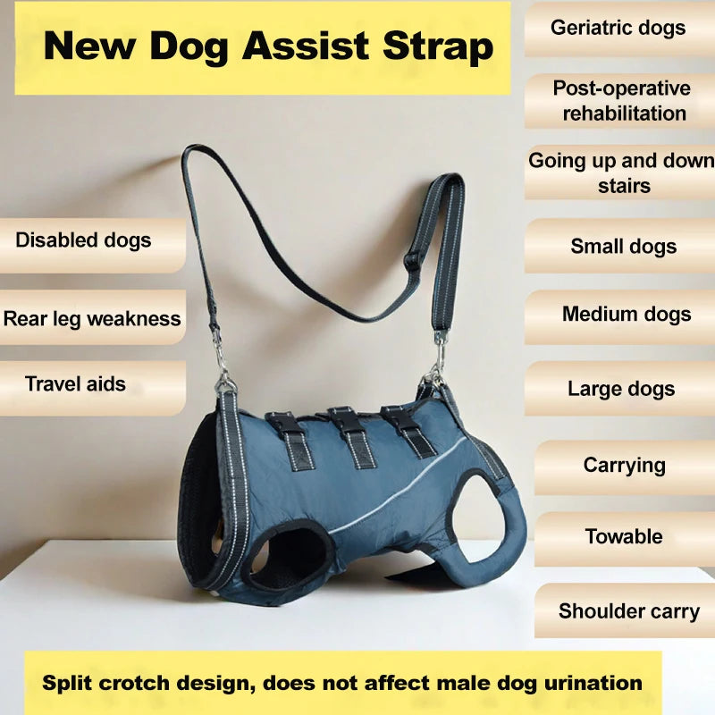Rehabilitation Sling Carrier with Padded Straps | Breathable Hip Support for Hind Legs