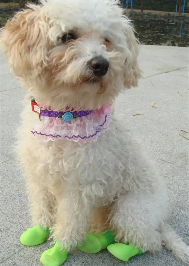 Green and Purple Waterproof Rain Shoes Set