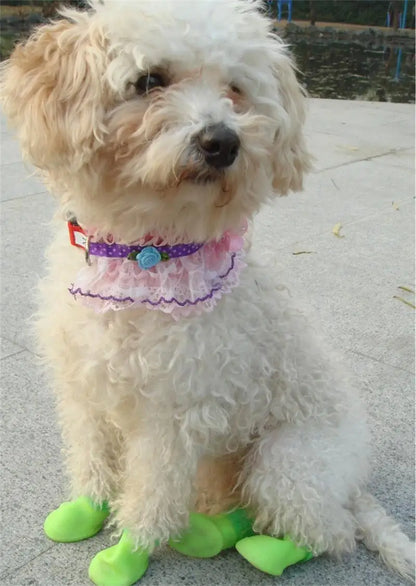 Green and Purple Waterproof Rain Shoes Set