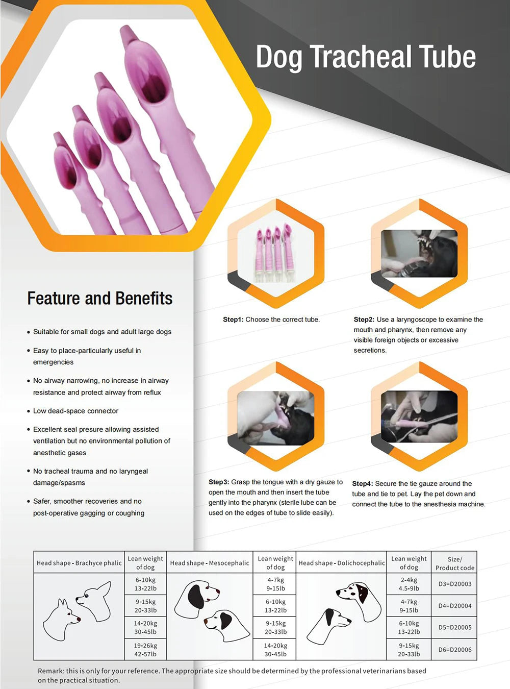 Canine Tracheal Intubation of Anesthesia Gas