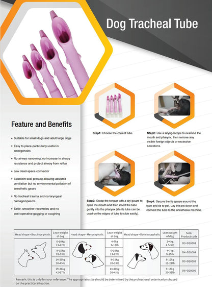 Canine Tracheal Intubation of Anesthesia Gas