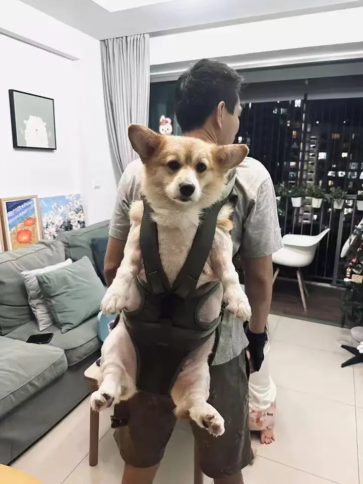 Chest Pet Bag Wrapping Large Dog Backpack