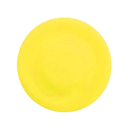 Mini Bite Resistant Flying Disk Toy