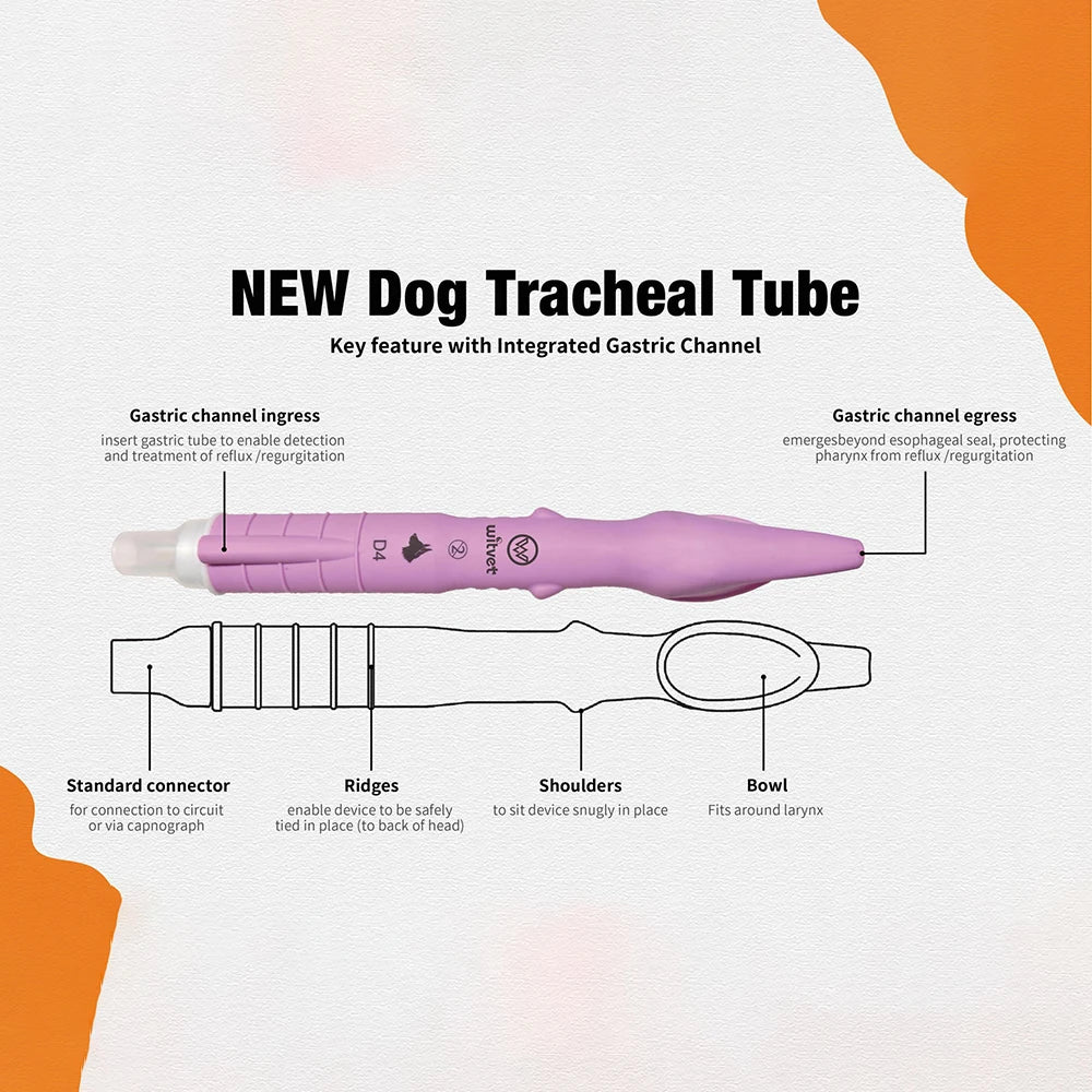 Canine Tracheal Intubation of Anesthesia Gas