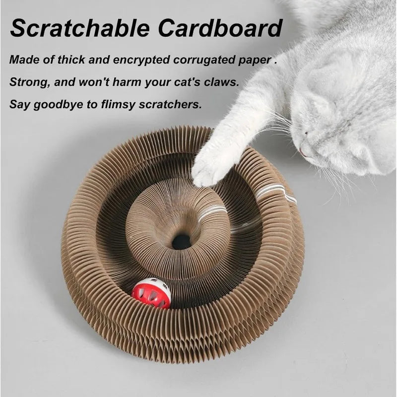 Creative Cat Scratching Board with Rolling Ball