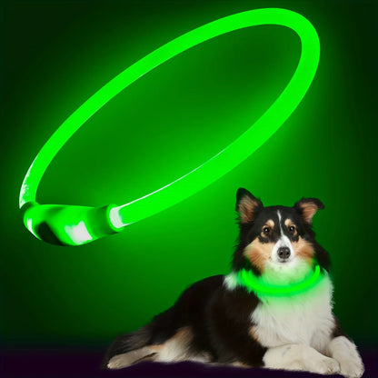 Luminous LED Light Anti-Lost Dog Collar