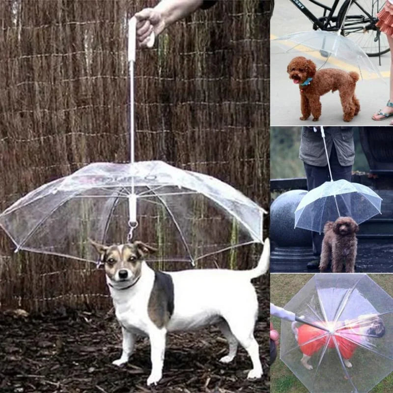 Waterproof Umbrella Poncho for Small Pets