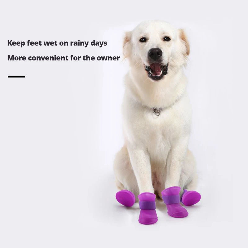 Green and Purple Waterproof Rain Shoes Set