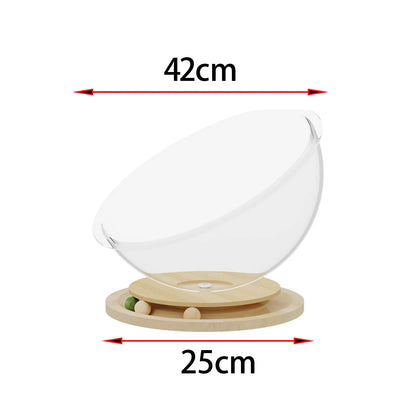 Space Capsule shaped Cat & Kitten Nest