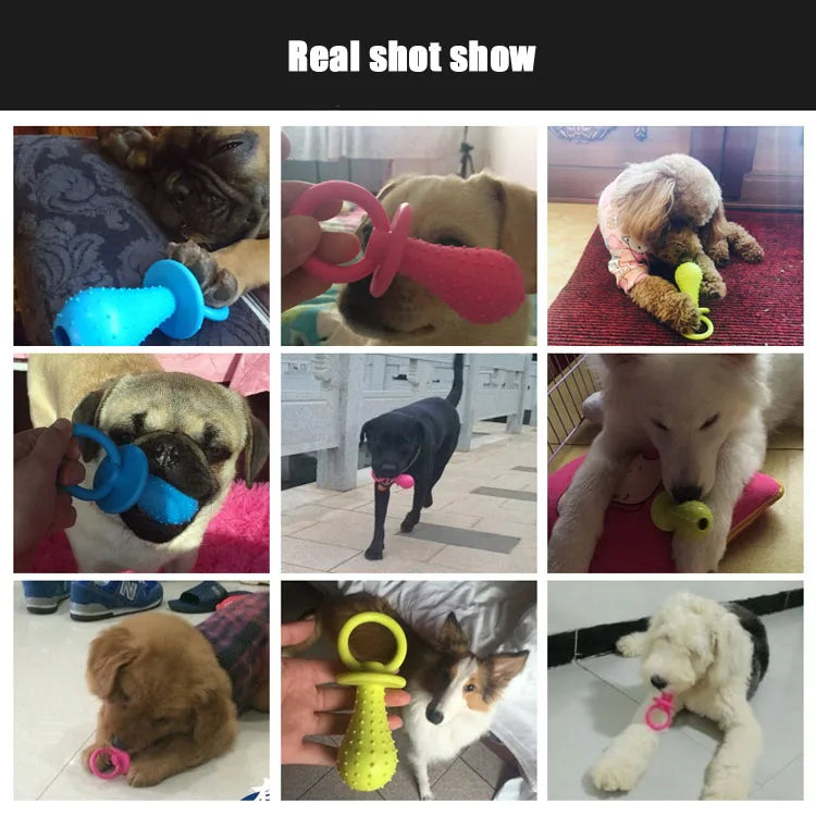 Rubber Pacifier Ring Shape Chew Toy