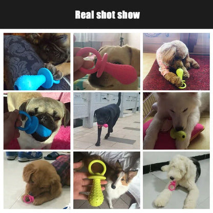 Rubber Pacifier Ring Shape Chew Toy