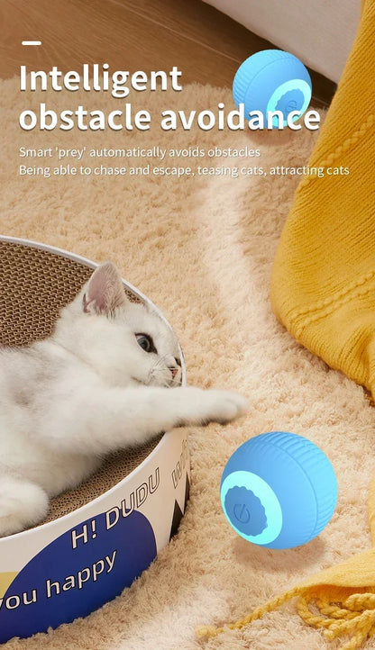 Interactive Motion Activated Plush Cat Toy Ball