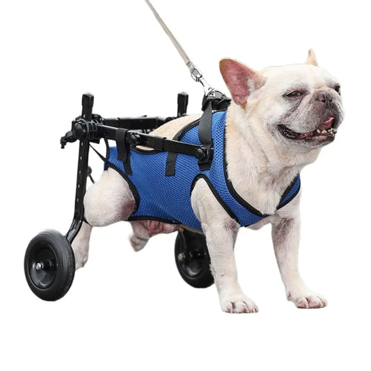 Pet Wheelchair Cart Adjustable Mobility Aids with Wheels [Rehabilitation Walking Mobility Aid]