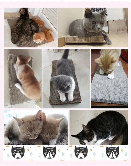 Cat Scratcher Sofa Cushion and Toy Board