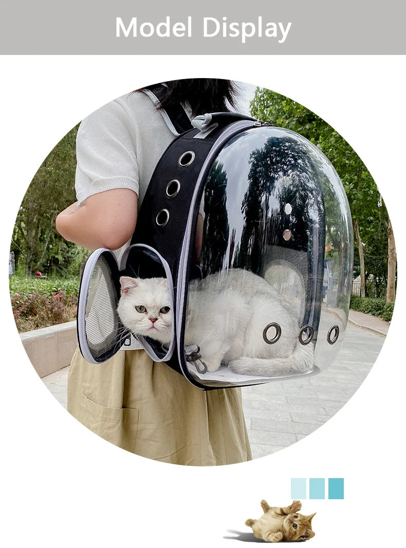 Breathable And Portable Transparent Pet Backpack