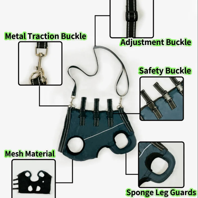 Rehabilitation Sling Carrier with Padded Straps | Breathable Hip Support for Hind Legs