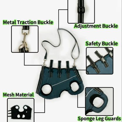 Rehabilitation Sling Carrier with Padded Straps | Breathable Hip Support for Hind Legs