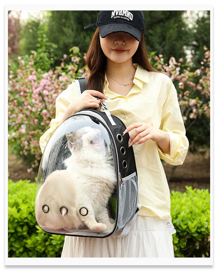 PurView Pro Transparent Cat Backpack - As seen in Argylle