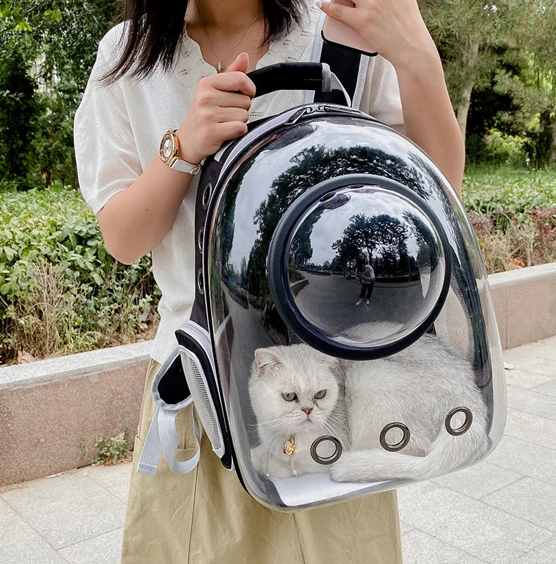 Breathable And Portable Transparent Pet Backpack