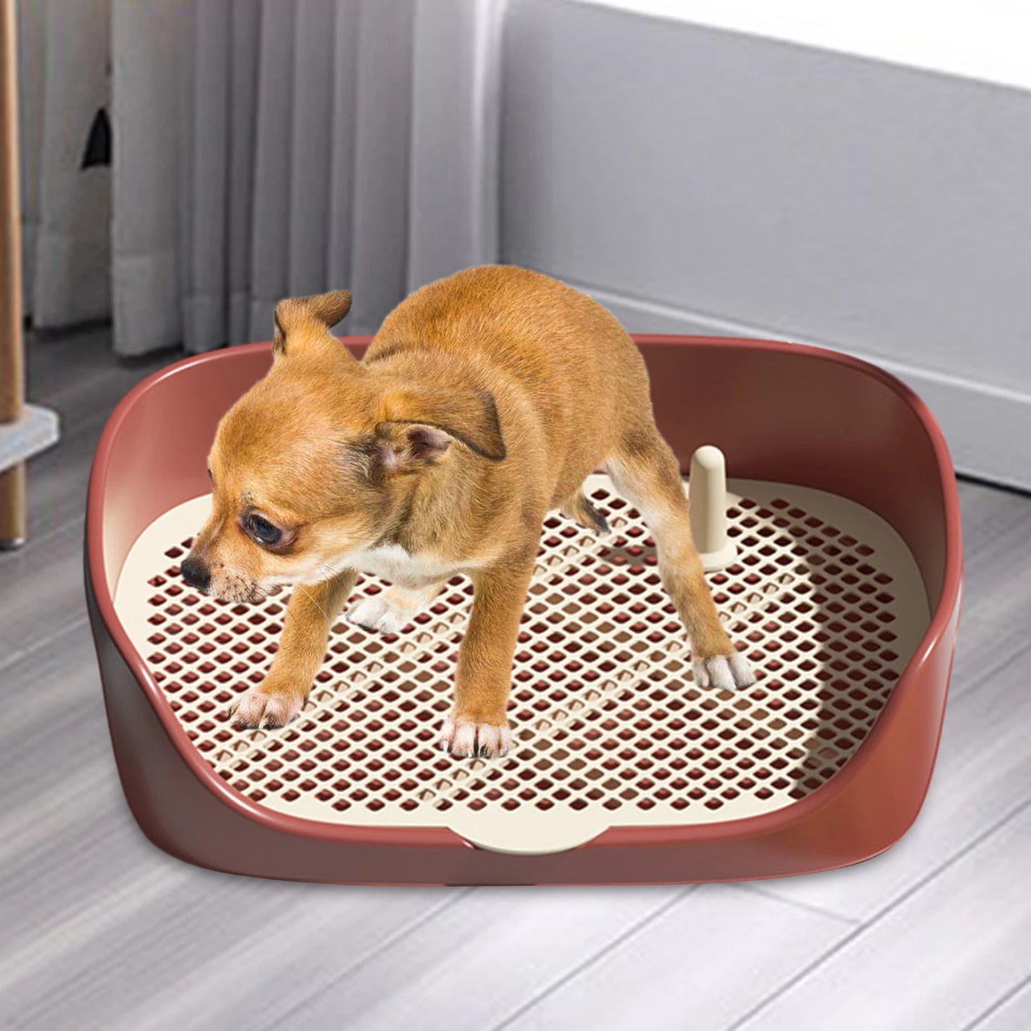 Portable Pet Toilet Training Litter Box System