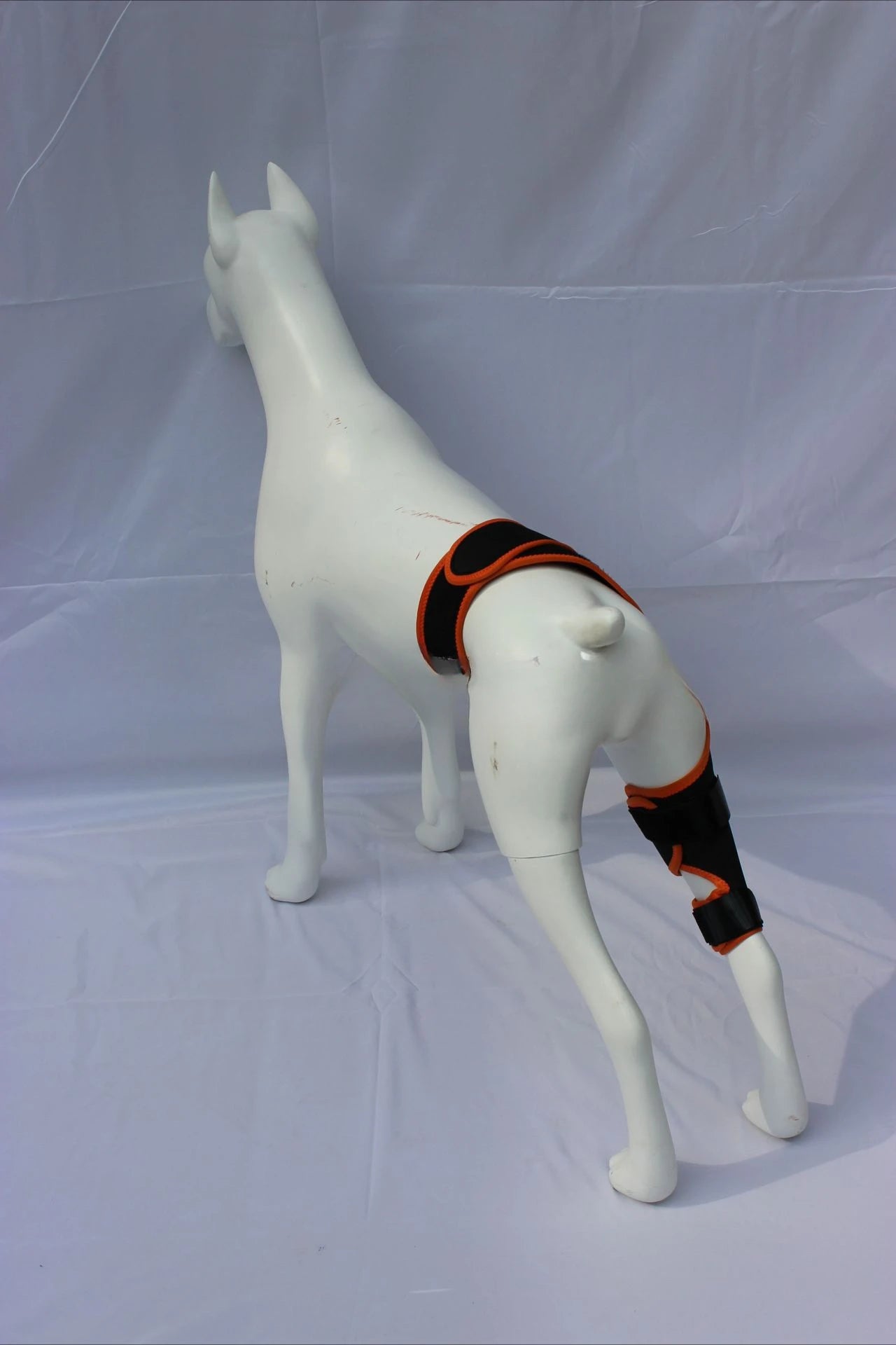Dog Leg Support Brace (Knee Hip Joint)