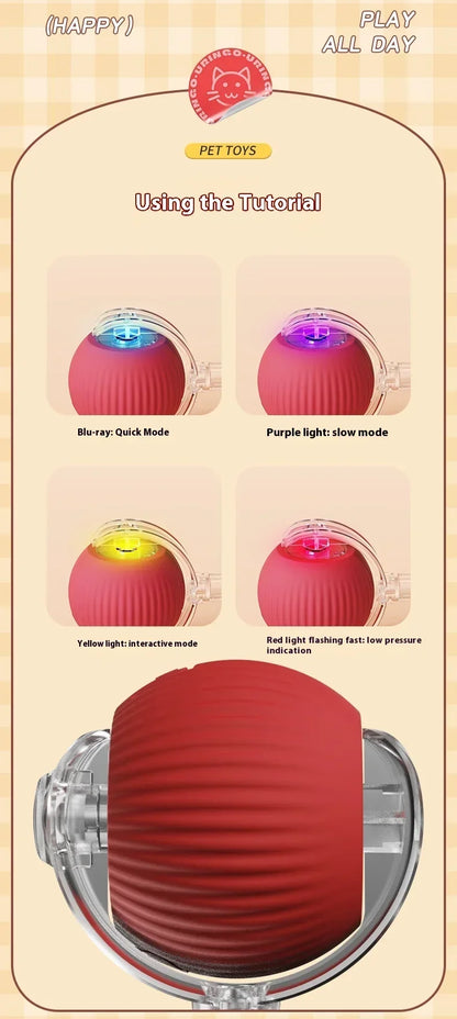 Interactive Motion Activated Plush Cat Toy Ball