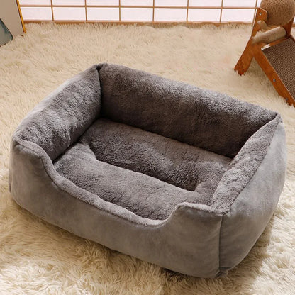 Cushioned Bed for Cats and Dogs